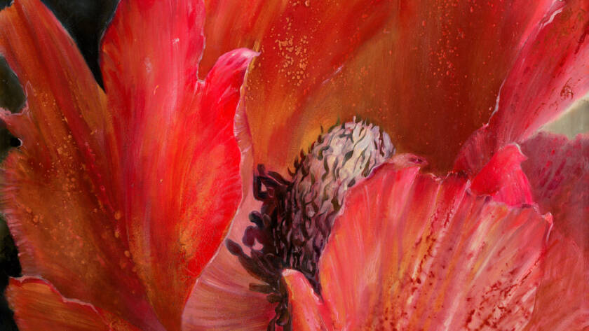 Painting of a bright red Calanit flower, symbolizing resilience, heritage, and the deep-rooted connection between the Jewish people and the land of Israel.